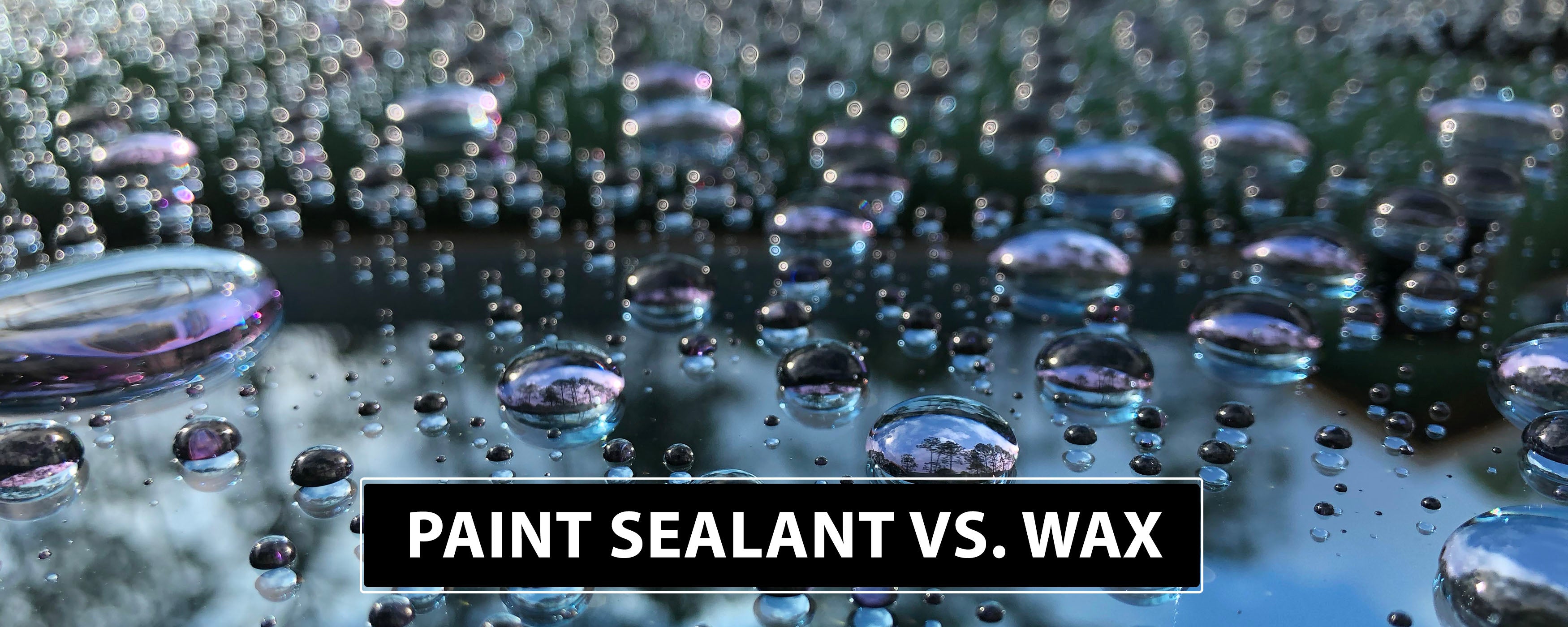 Paint Sealant vs. Wax – What is The Difference and Which One is The Best?
