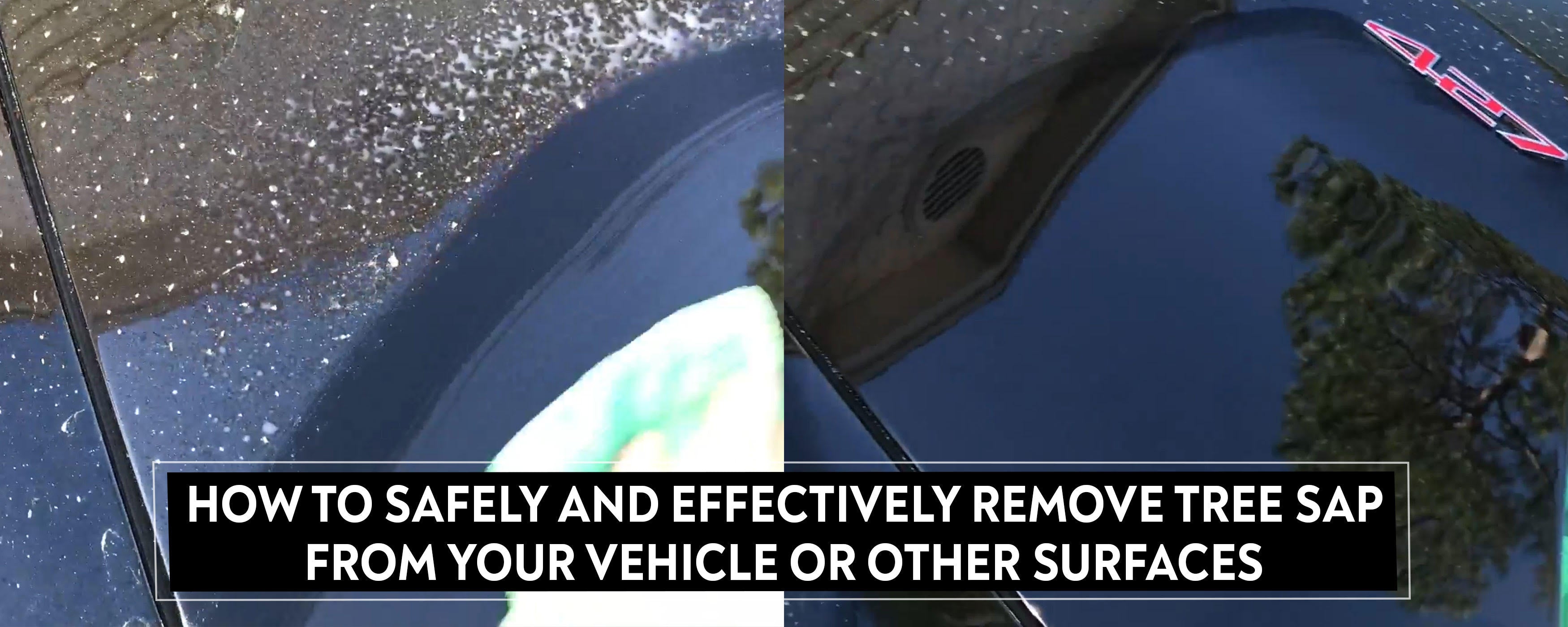 How To Safely and Effectively Remove Tree Sap from Your Car/Vehicle or Other Surfaces