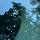 TopCoat® Gla - C™ Kit - TopCoat Products, LLC